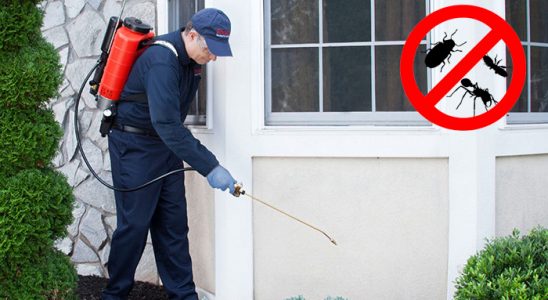 Evciler Dezenfeksiyon böcek ilaçlama ve haşere kontrolü — ilaclama-tr.com